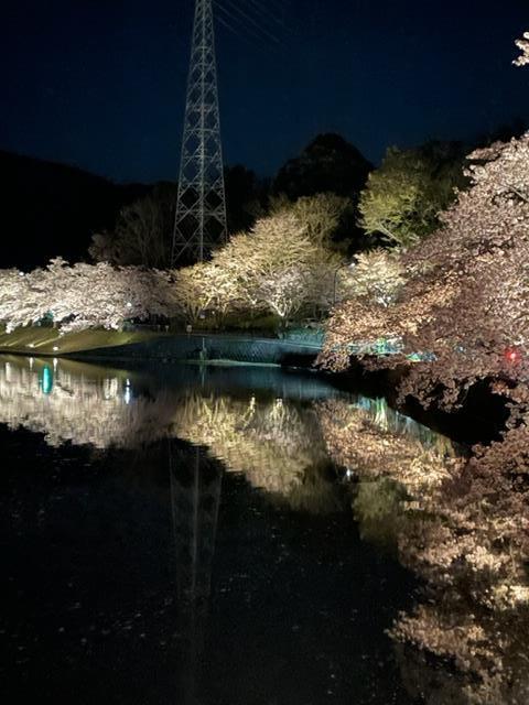 夜桜🌸も見に行ってきました！